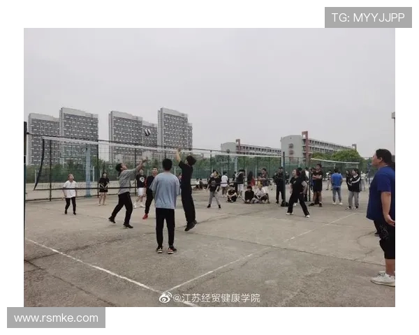 成都排球队灵活性探讨:如何提升战术应变能力与团队协作