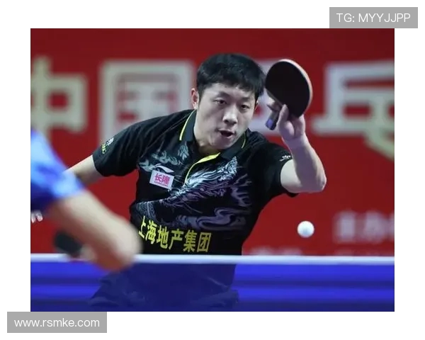 上海网球队以65分领跑精英赛积分榜展现强劲实力